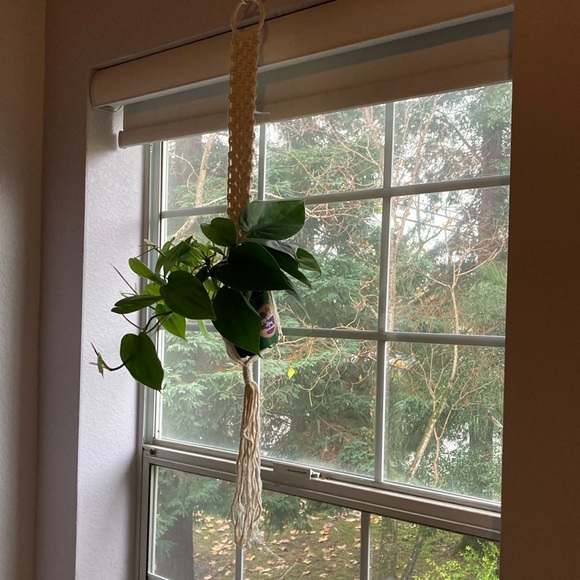 Final Sale! Gorgeous macrame cotton plant holder - Picture 1 of 3